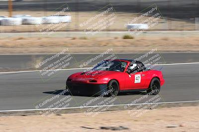 media/Nov-13-2022-VIP Trackdays (Sun) [[2cd065014b]]/B group/Head On/